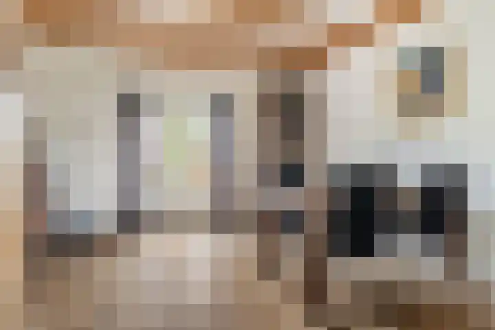 Jousterweg 10 Nijehaske thumbnail 12