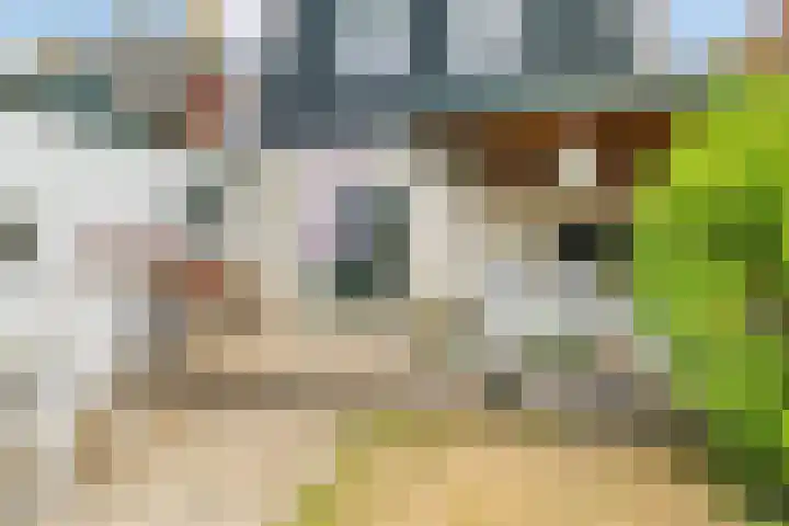 Jousterweg 10 Nijehaske thumbnail 19