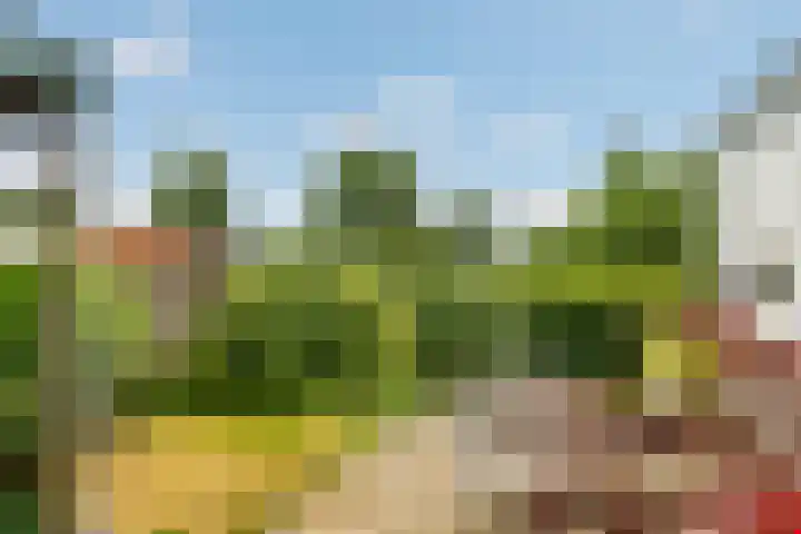 Jousterweg 10 Nijehaske thumbnail 21