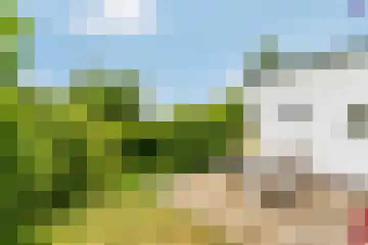 Jousterweg 10 Nijehaske thumbnail 22