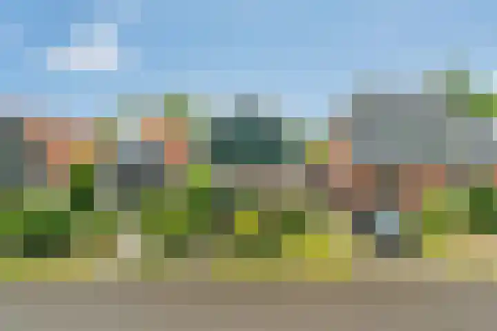 Jousterweg 10 Nijehaske thumbnail 5