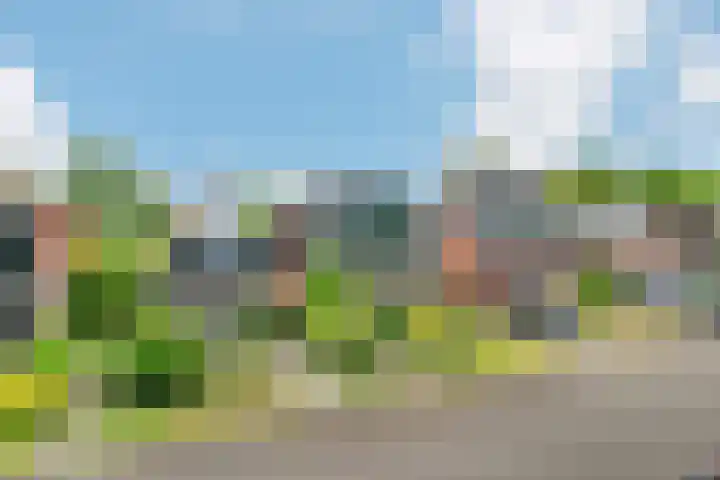 Jousterweg 10 Nijehaske thumbnail 6
