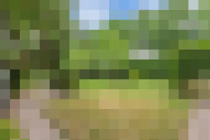 Jousterweg 107 Oudehaske thumbnail 33