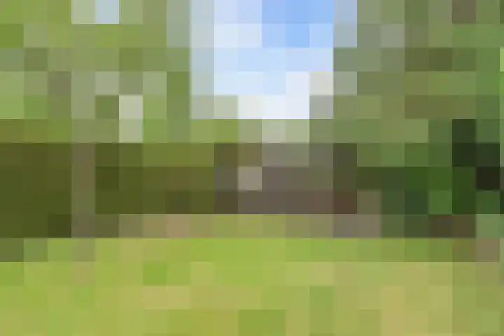 Jousterweg 107 Oudehaske thumbnail 35