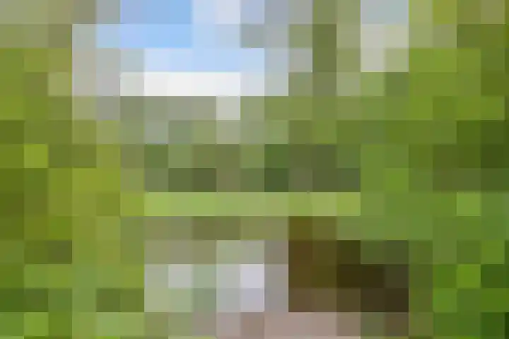 Jousterweg 107 Oudehaske thumbnail 36