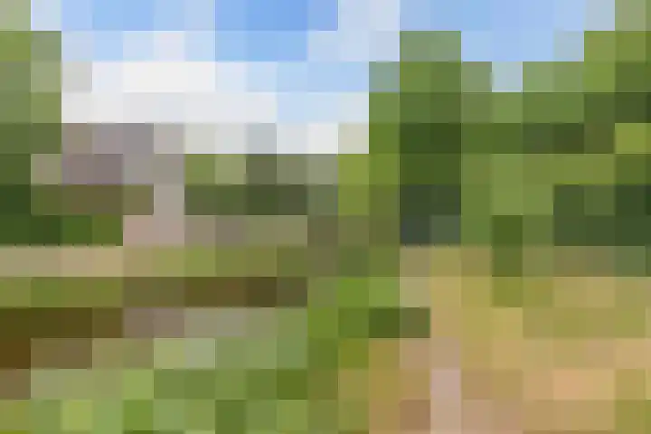 Jousterweg 107 Oudehaske thumbnail 37