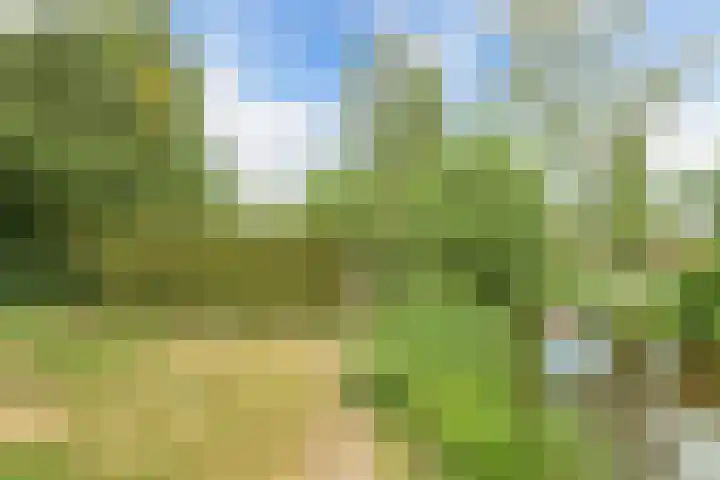 Jousterweg 107 Oudehaske thumbnail 38