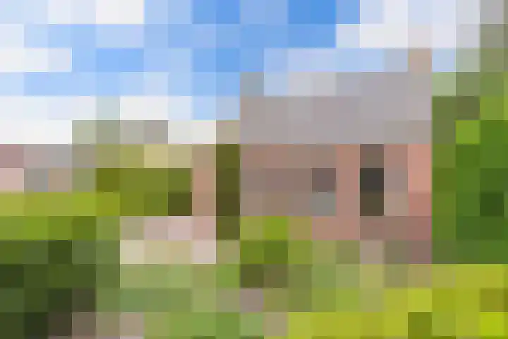 Jousterweg 107 Oudehaske thumbnail 4
