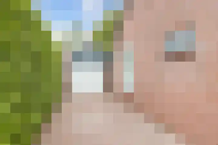 Jousterweg 107 Oudehaske thumbnail 47
