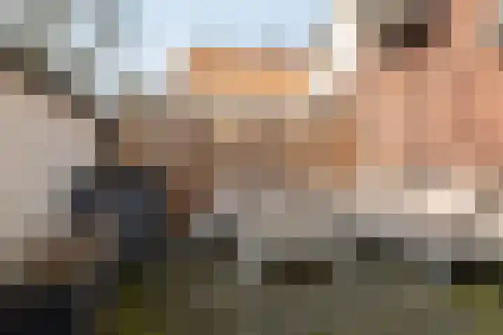 Jousterweg 134 Oudehaske thumbnail 21