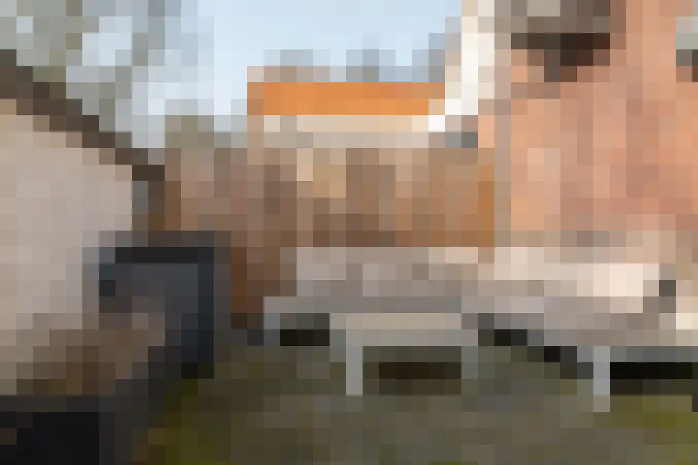 Jousterweg 134 Oudehaske thumbnail 21