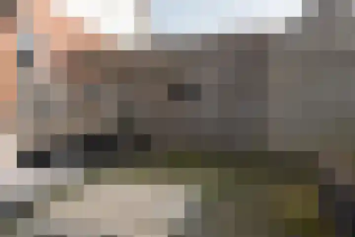 Jousterweg 134 Oudehaske thumbnail 22