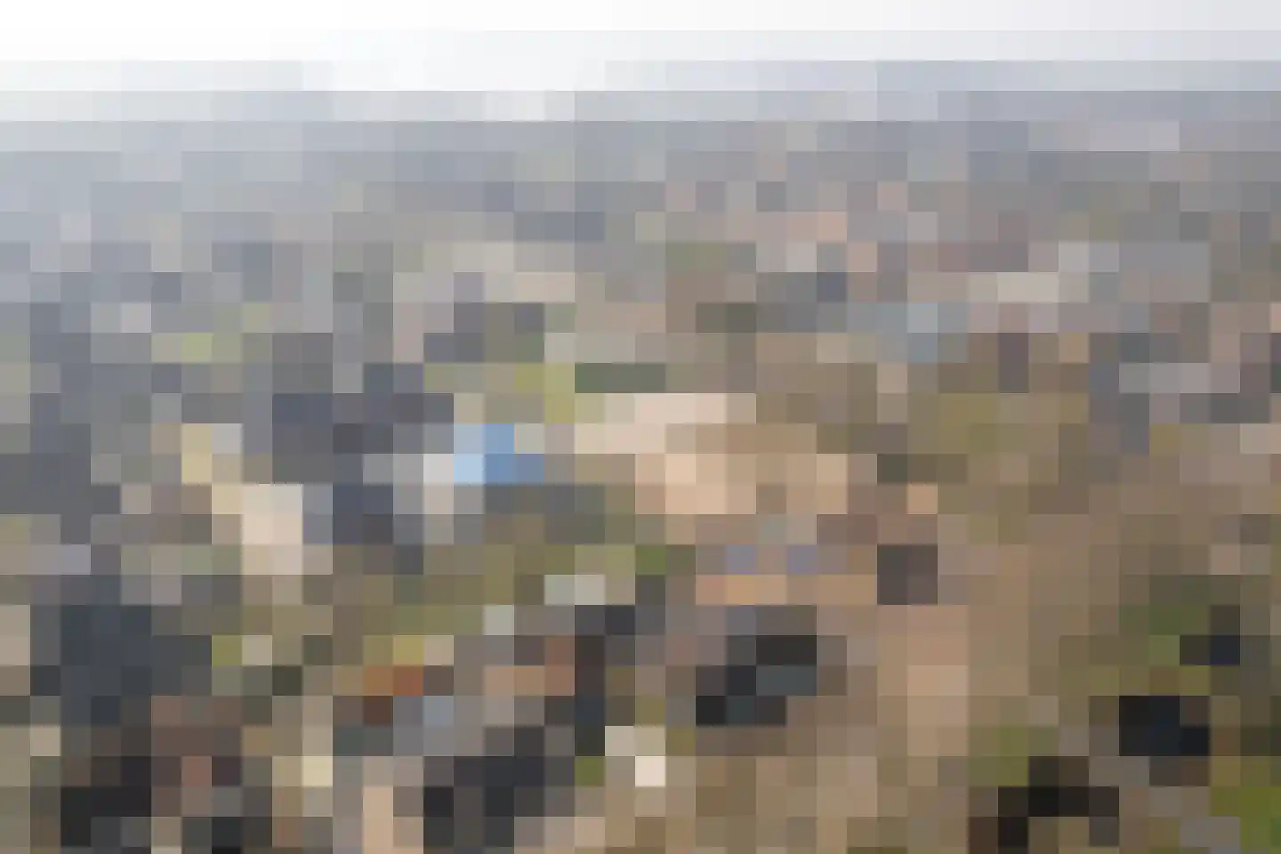 Jousterweg 134 Oudehaske thumbnail 27