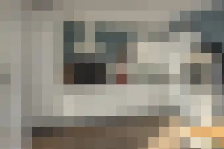 Jousterweg 134 Oudehaske thumbnail 9