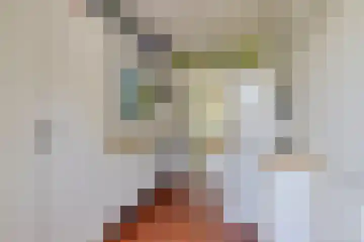 Jousterweg 140 Oudehaske thumbnail 30