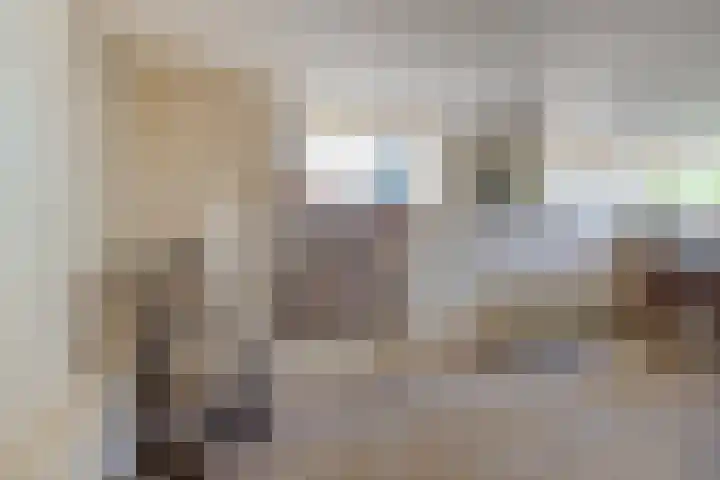 Jousterweg 140 Oudehaske thumbnail 35