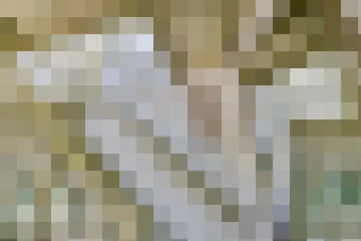 Jousterweg 140 Oudehaske thumbnail 37