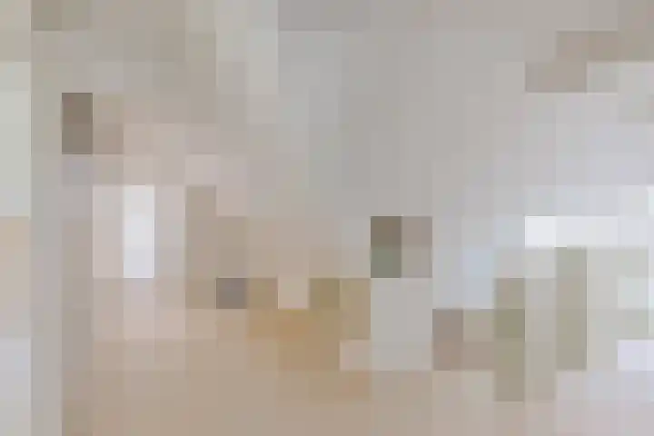 Jousterweg 140 Oudehaske thumbnail 39