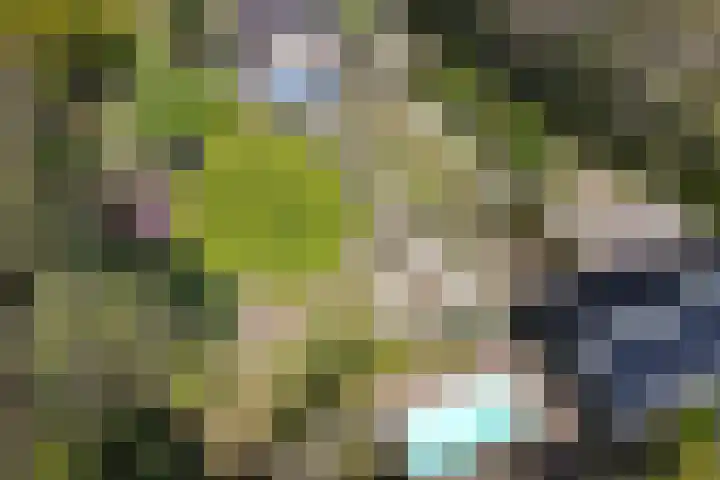 Jousterweg 140 Oudehaske thumbnail 4