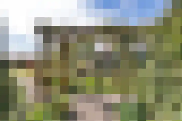 Jousterweg 140 Oudehaske thumbnail 54