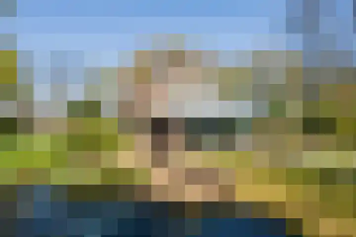 Jousterweg 140 Oudehaske thumbnail 56