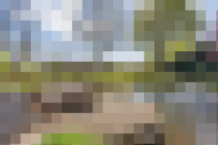 Jousterweg 140 Oudehaske thumbnail 57