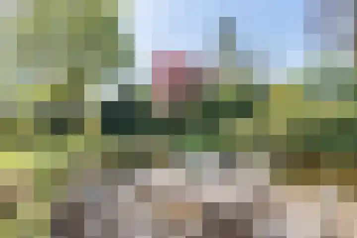 Jousterweg 140 Oudehaske thumbnail 58