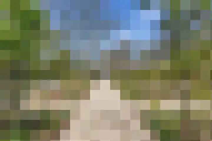 Jousterweg 140 Oudehaske thumbnail 60