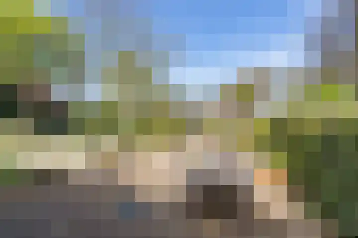 Jousterweg 140 Oudehaske thumbnail 61