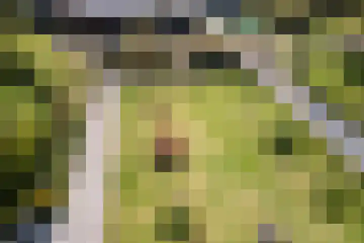 Jousterweg 140 Oudehaske thumbnail 63