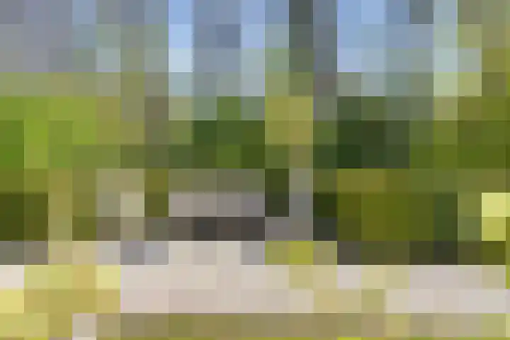 Jousterweg 140 Oudehaske thumbnail 64