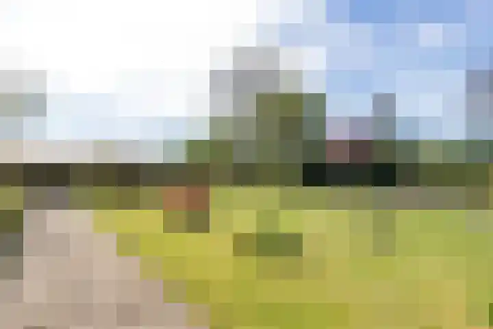 Jousterweg 140 Oudehaske thumbnail 65