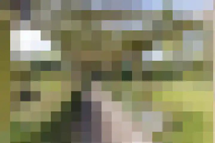 Jousterweg 140 Oudehaske thumbnail 66