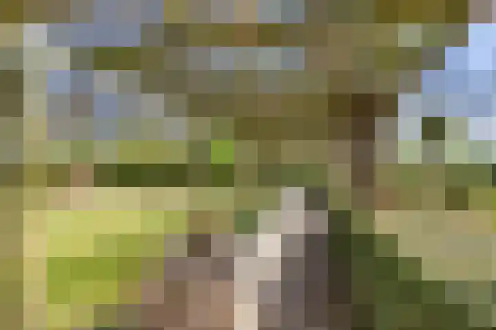 Jousterweg 140 Oudehaske thumbnail 67
