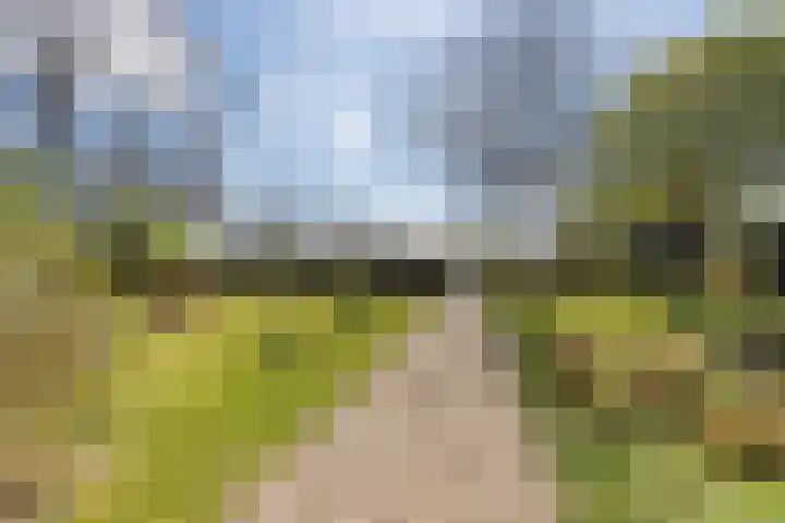 Jousterweg 140 Oudehaske thumbnail 68