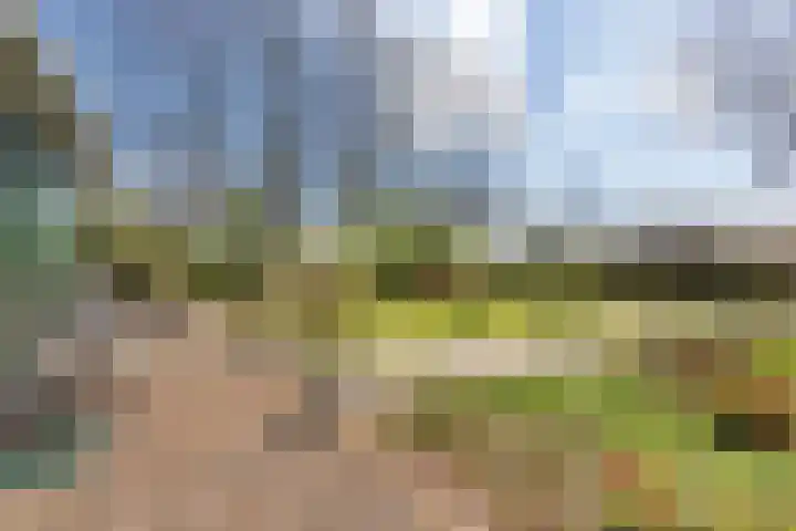 Jousterweg 140 Oudehaske thumbnail 69
