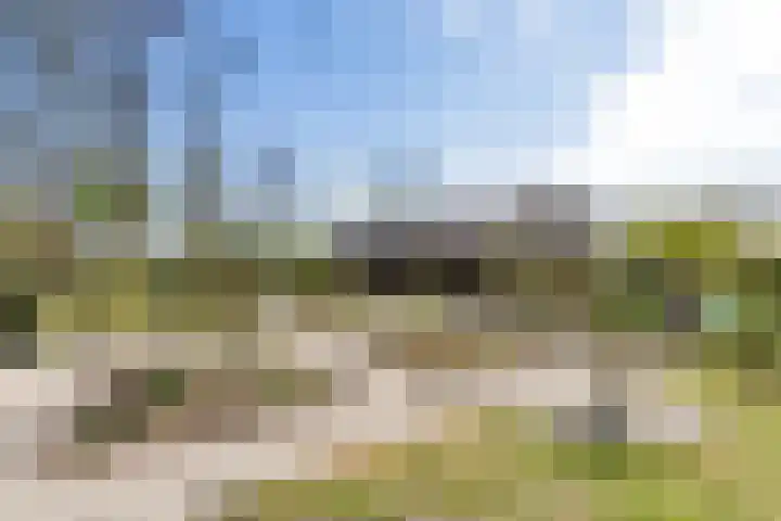 Jousterweg 140 Oudehaske thumbnail 70