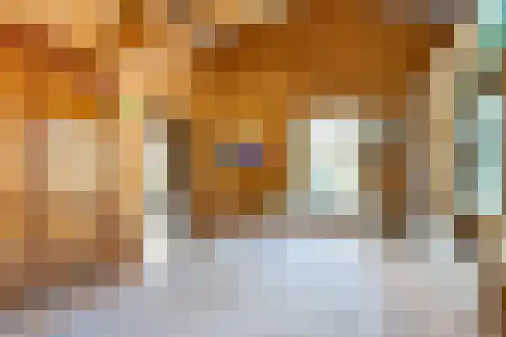Jousterweg 140 Oudehaske thumbnail 74