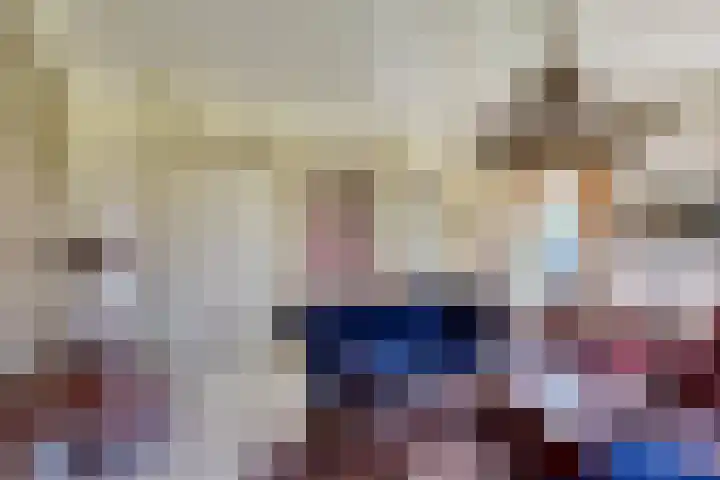 Jousterweg 140 Oudehaske thumbnail 8