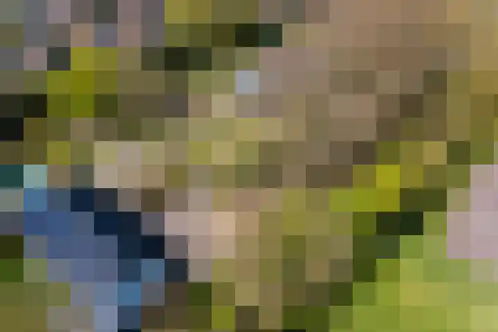 Jousterweg 140 Oudehaske thumbnail 80