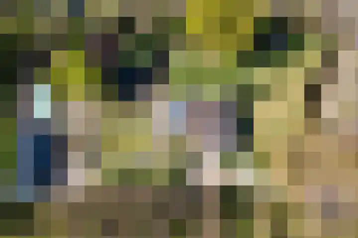 Jousterweg 140 Oudehaske thumbnail 81