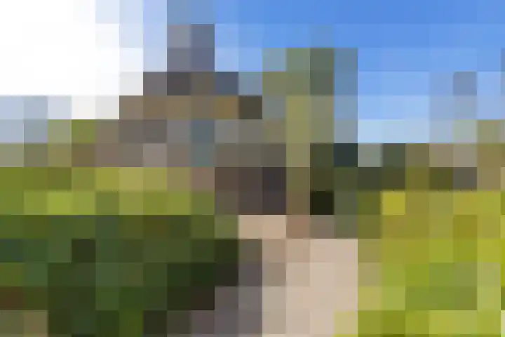 Jousterweg 140 Oudehaske thumbnail 82