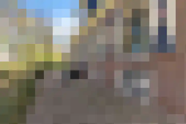 Jousterweg 140 Oudehaske thumbnail 83
