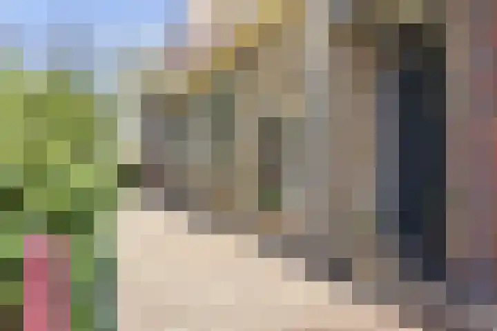 Jousterweg 140 Oudehaske thumbnail 86