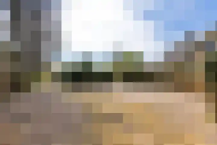 Jousterweg 140 Oudehaske thumbnail 88