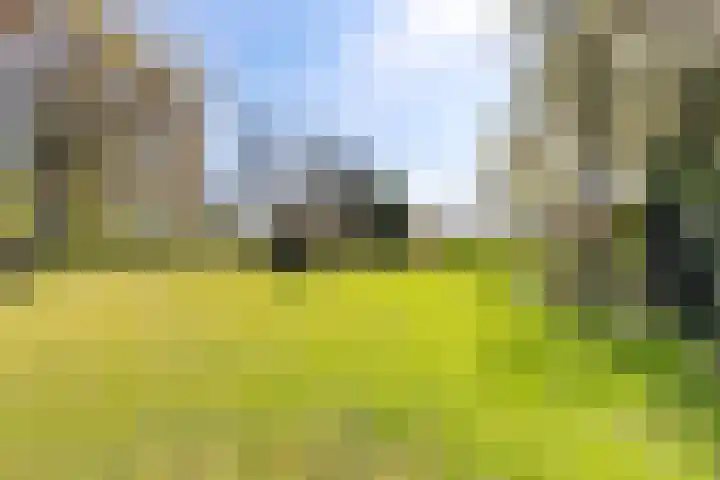 Jousterweg 140 Oudehaske thumbnail 90