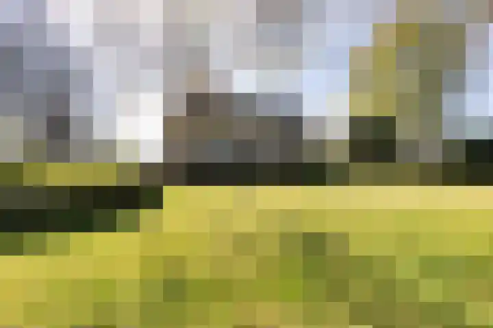 Jousterweg 140 Oudehaske thumbnail 91
