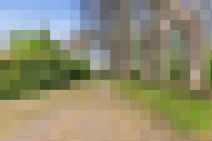 Jousterweg 140 Oudehaske thumbnail 92