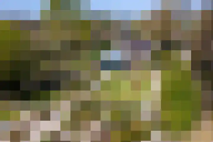 Jousterweg 140 Oudehaske thumbnail 93