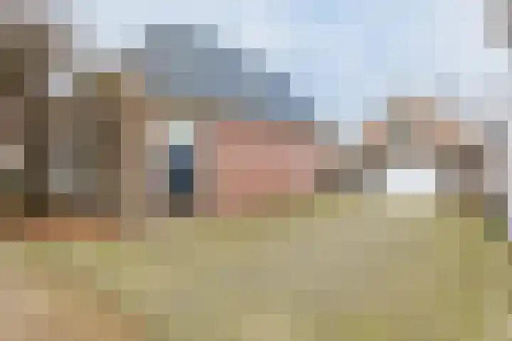 Jousterweg 147 Oudehaske thumbnail 20